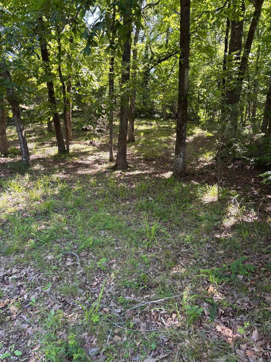 Build your dream getaway on this ready-to-build lot just 1.1 miles from Crystal Springs and beautiful Lake Ouachita! Enjoy easy access to boating, fishing, swimming, and outdoor recreation while still having the privacy and tranquility you’ve been looking for. A new survey has been ordered, making this property even closer to ready for your future plans. Whether you’re looking for a weekend retreat, investment opportunity, or future homesite, this location offers endless potential near one of Arkansas’s most desirable lake areas.