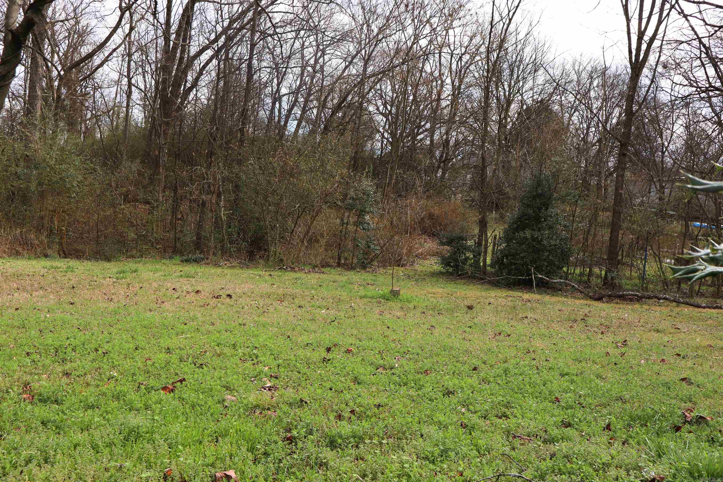 Hot Springs Unplatted - Residential