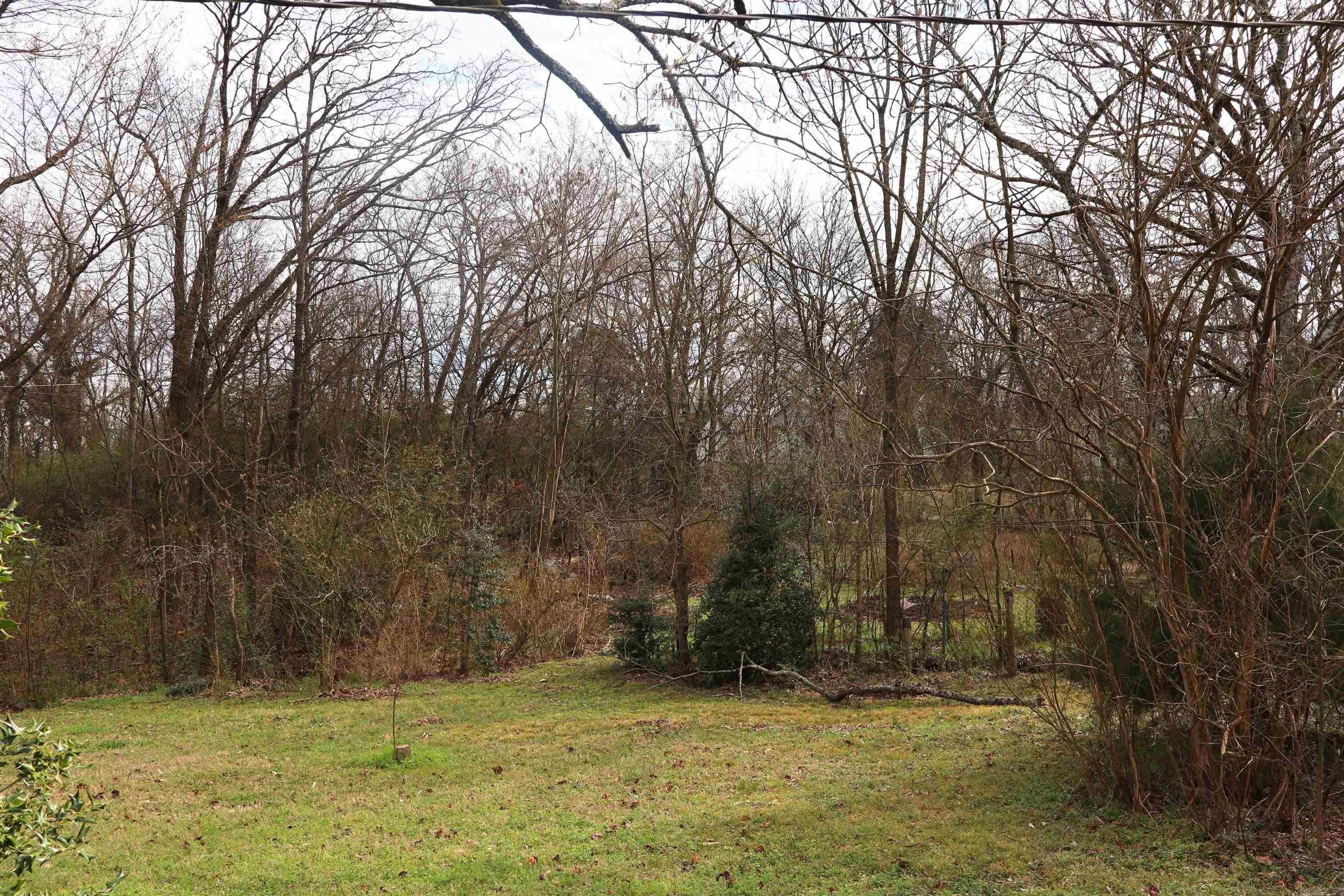 Hot Springs Unplatted - Residential