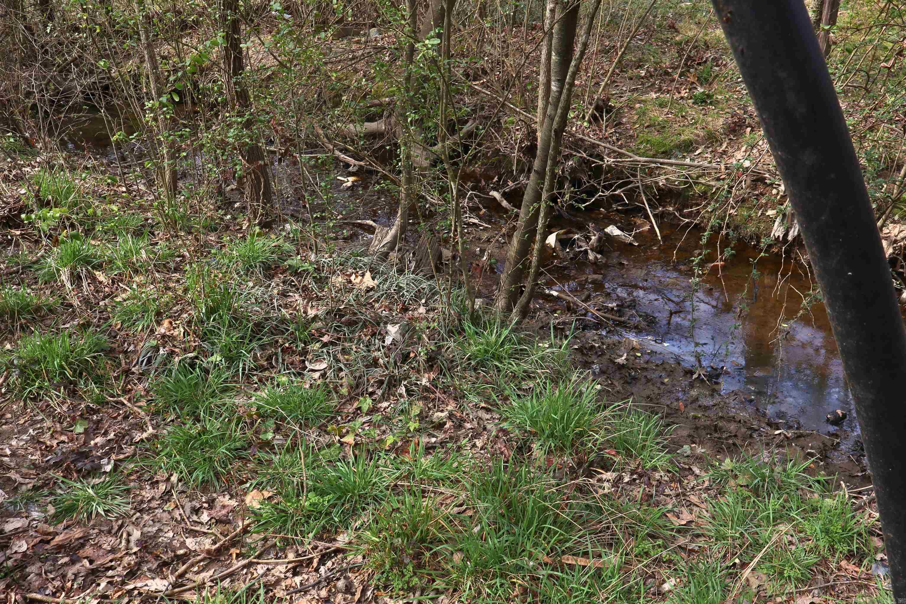 Hot Springs Unplatted - Residential