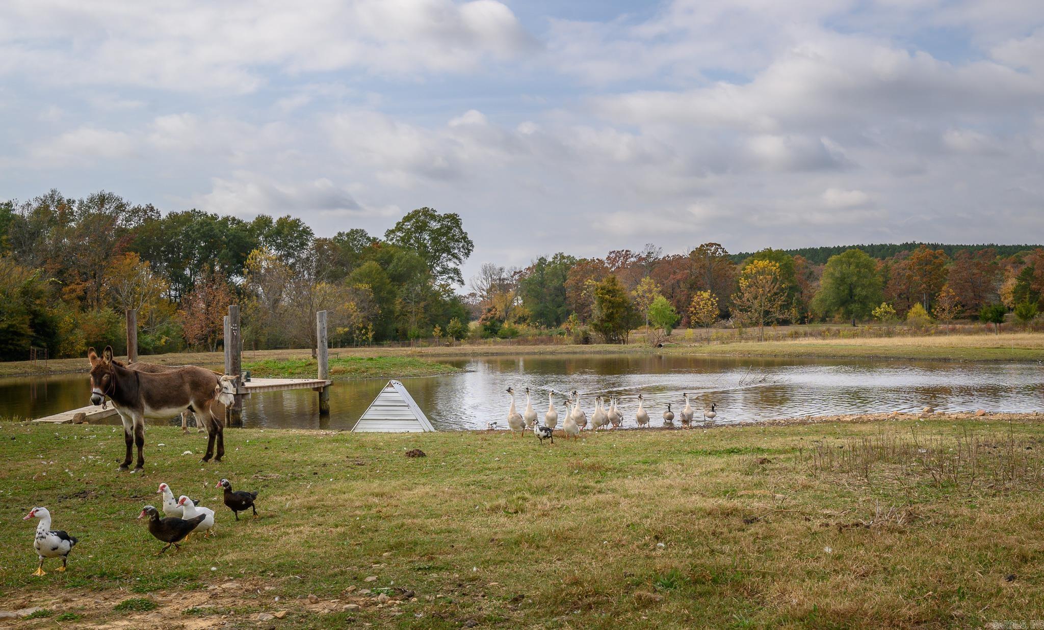 TOWN OF EGGER (CHERRY HILL) - Residential