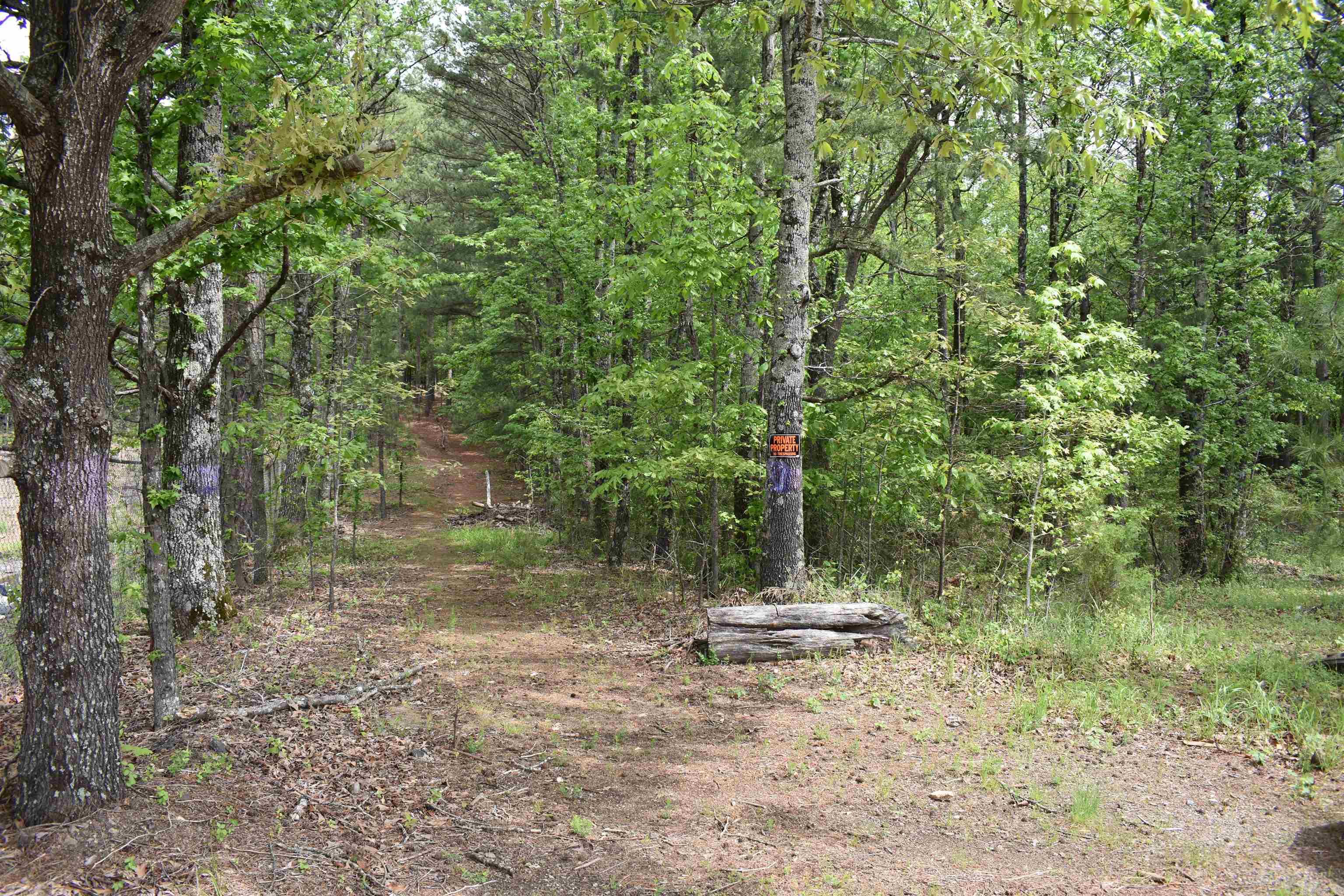 This is a 2.95 acre parcel that you can access from Iris Place or Masters Lane (which is right across from the Post Office on Albert Pike). Now zoned RN2, which means in addition to a residence you can have an accessory DWELLING that can not exceed 700 sq ft.