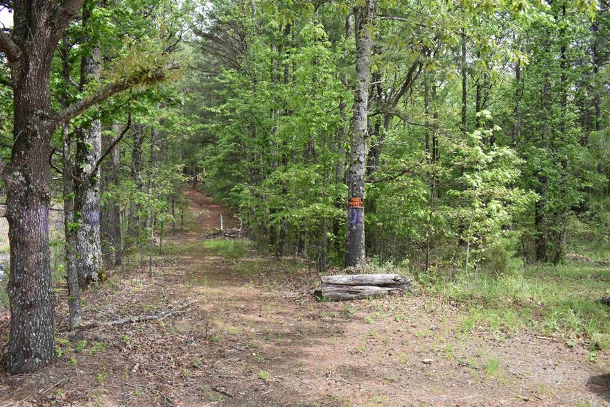 This is a 2.95 acre parcel that you can access from Iris Place or Masters Lane (which is right across from the Post Office on Albert Pike).  Now zoned RN2, which means in addition to a residence you can have an accessory DWELLING that can not exceed 700 sq ft.