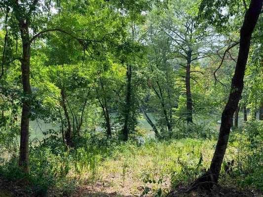 104 ADAMS DR, PANGBURN, AR 72121 - Image af18dfca2f43074e28c83fb85a2e655d/3113090394