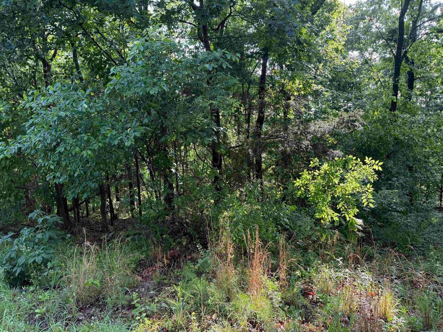 Lake view lot in a quiet, rural area overlooking Goat Island.   Just a short drive to Hill Creek Marina and Frontier Canyon.  Lot will need well and septic permit.