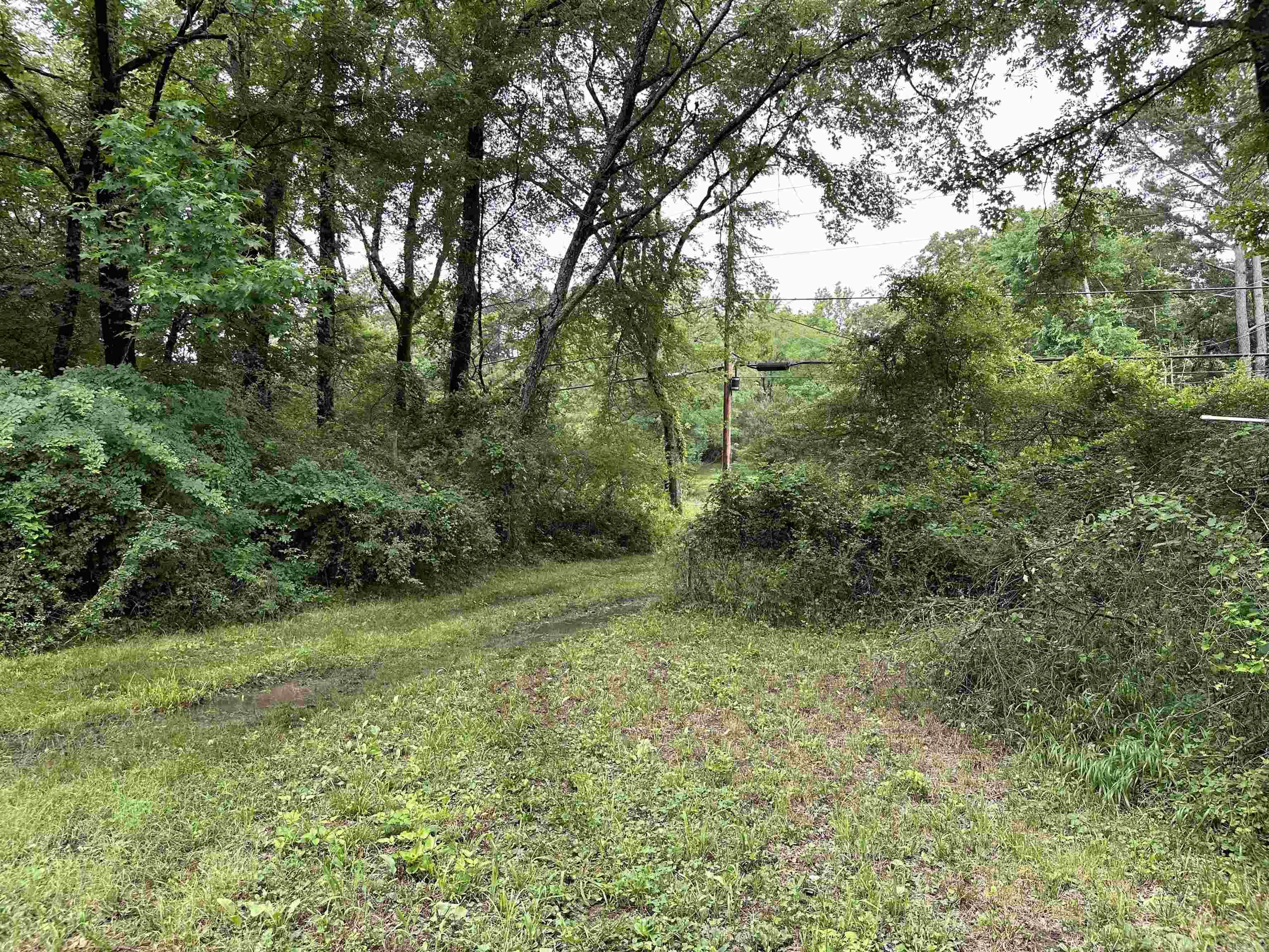 Over 2 acres located near Lakeside Schools, on the opposite side of the Road. Use your imagination to reconstruct this amazing lot to suit your needs. Check with city for new zoning regulations for neighborhood residential 1, RN1. Multi use Malvern Avenue is a great investment! Close access to the bypass and Hwy 70.