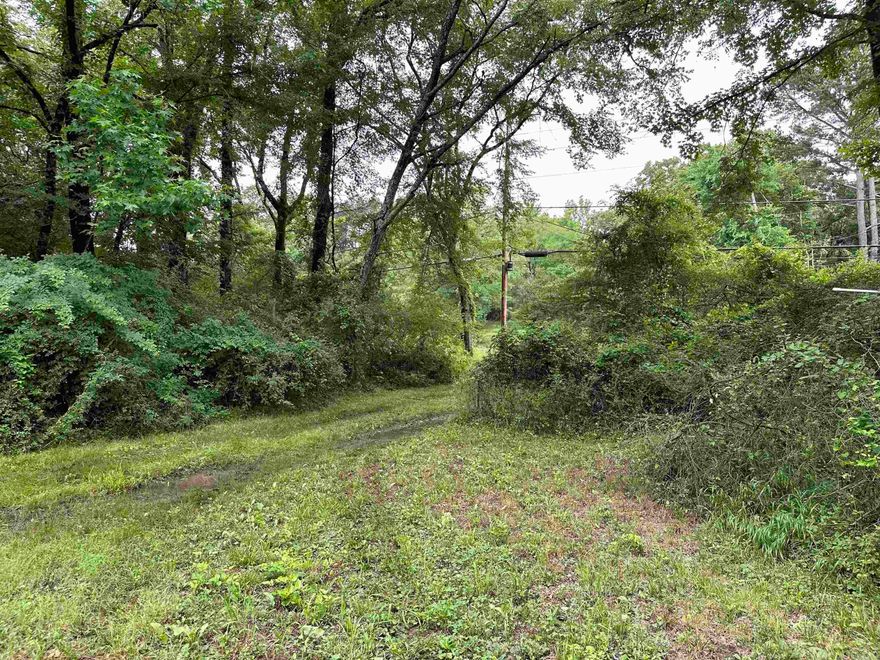 Over 2 acres located near Lakeside Schools, on the opposite side of the Road. Use your imagination to reconstruct this amazing lot to suit your needs. Check with city for new zoning regulations for neighborhood residential 1, RN1. Multi use Malvern Avenue is a great investment! Close access to the bypass and Hwy 70.