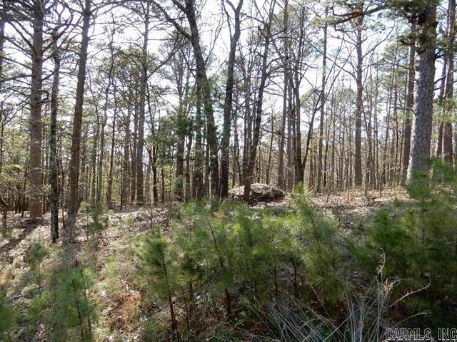 Experience the beautiful setting of Fairfield Bay as you turn your dream of a lake home into reality on this charming lot. Located in the heart of Fairfield Bay, this property provides access to numerous amenities, including two golf courses, ATV trails, hiking trails, bowling, three inviting swimming pools, and a variety of delightful restaurants. Additionally, you'll enjoy easy access to the stunning Greers Ferry Lake. With utilities conveniently located at the street, this lot is ready for you to make your mark!