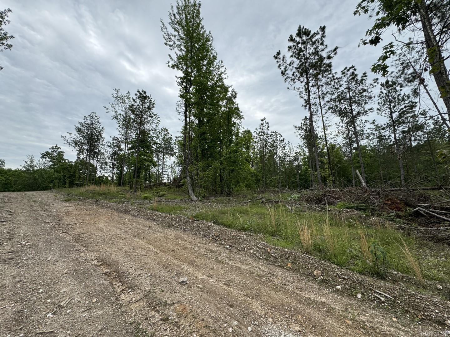 Looking for a peaceful area to build your dream home? Come check out this diamond in the rough in Lakedale Estates. Smallest lot is 4 acres so plenty of space between neighbors yet close enough not to feel secluded from the the world. Make this your own paradise. Motivated Seller - call with offers.