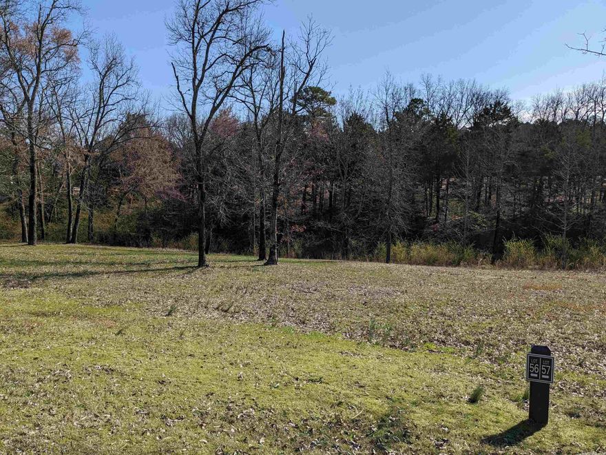 Beautiful flat lot in prestigious Brighton Pointe! One of the very finest subdivisions on Greers Ferry Lake offers buried utilities, sewer, natural gas, swimming pool, and a location that is unrivaled. Minutes to Dam Site Marina, restaurants and shopping. As good as it gets!
