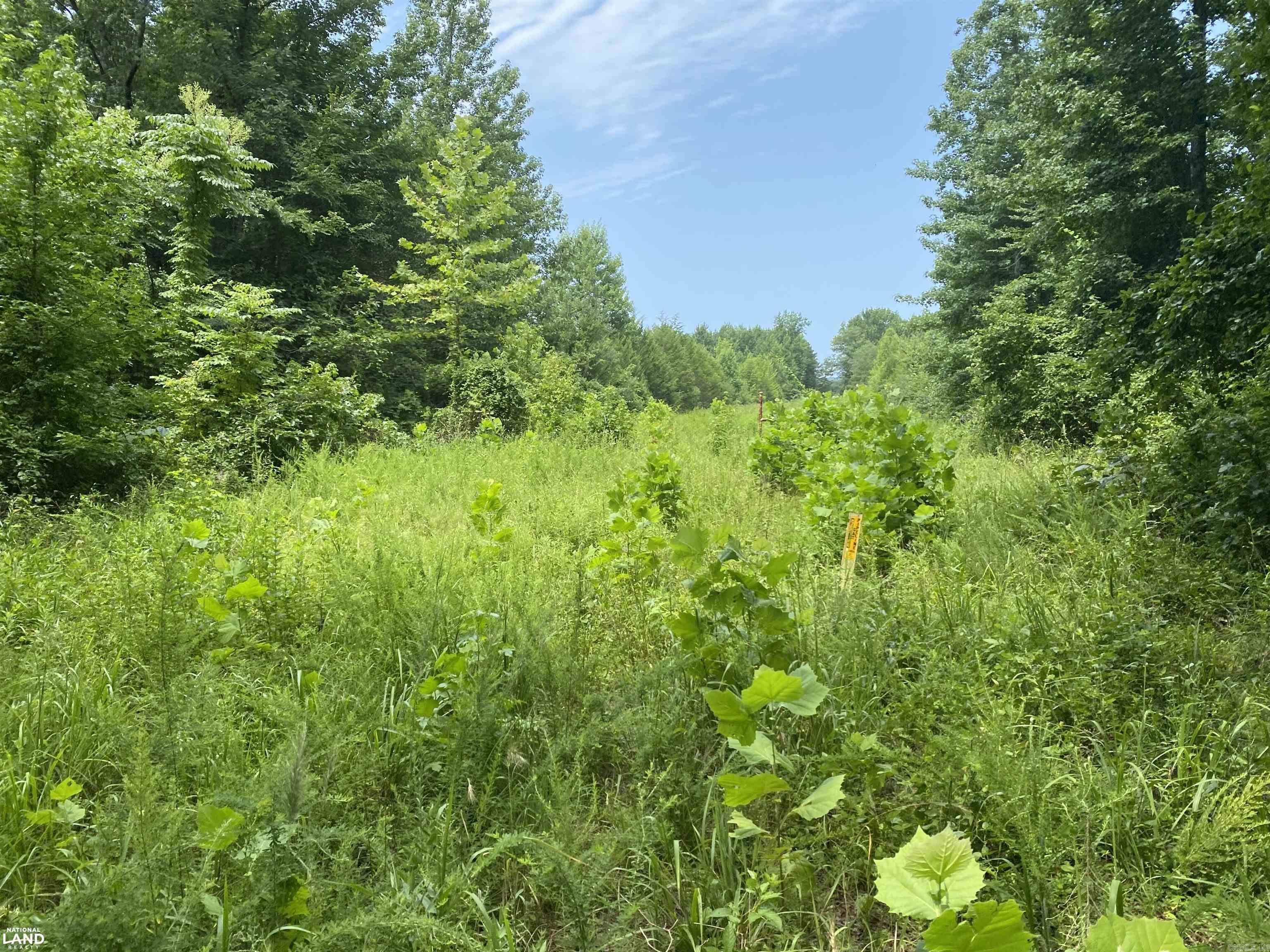 Not in Subdivision - Land