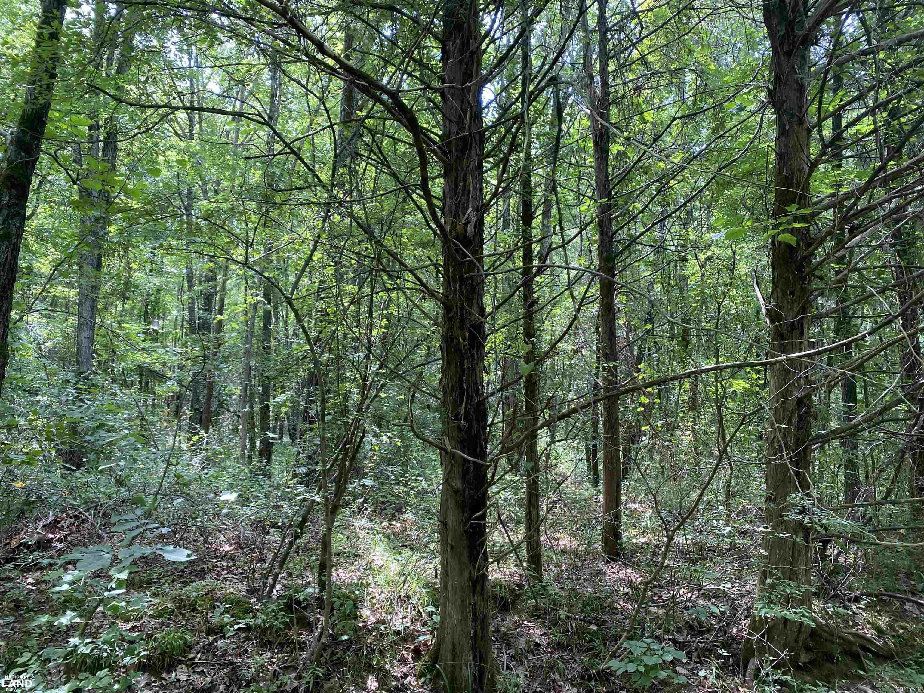 Not in Subdivision - Land