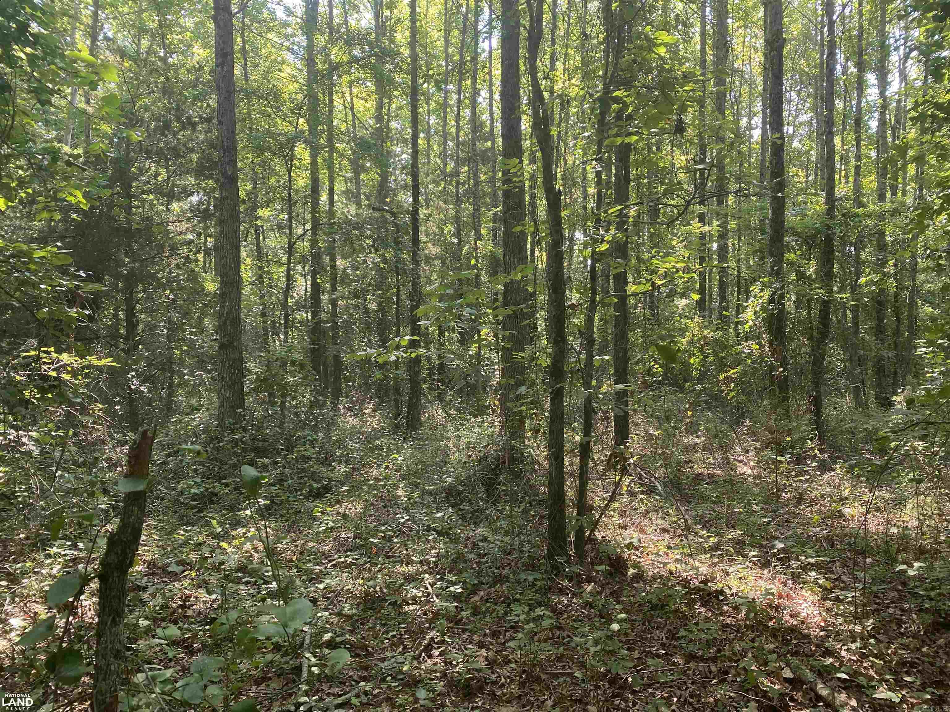 Not in Subdivision - Land