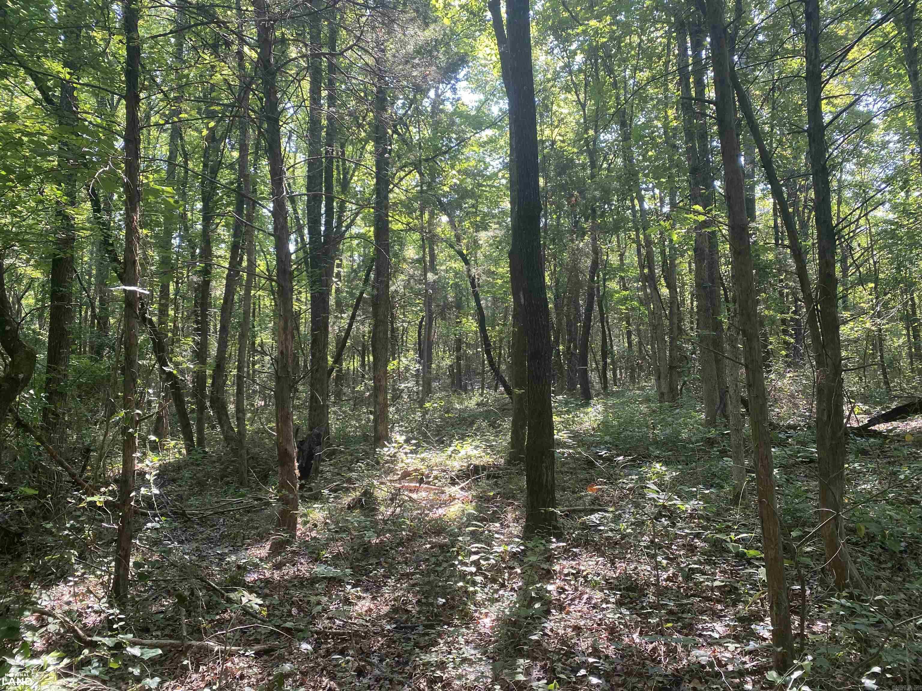 Not in Subdivision - Land