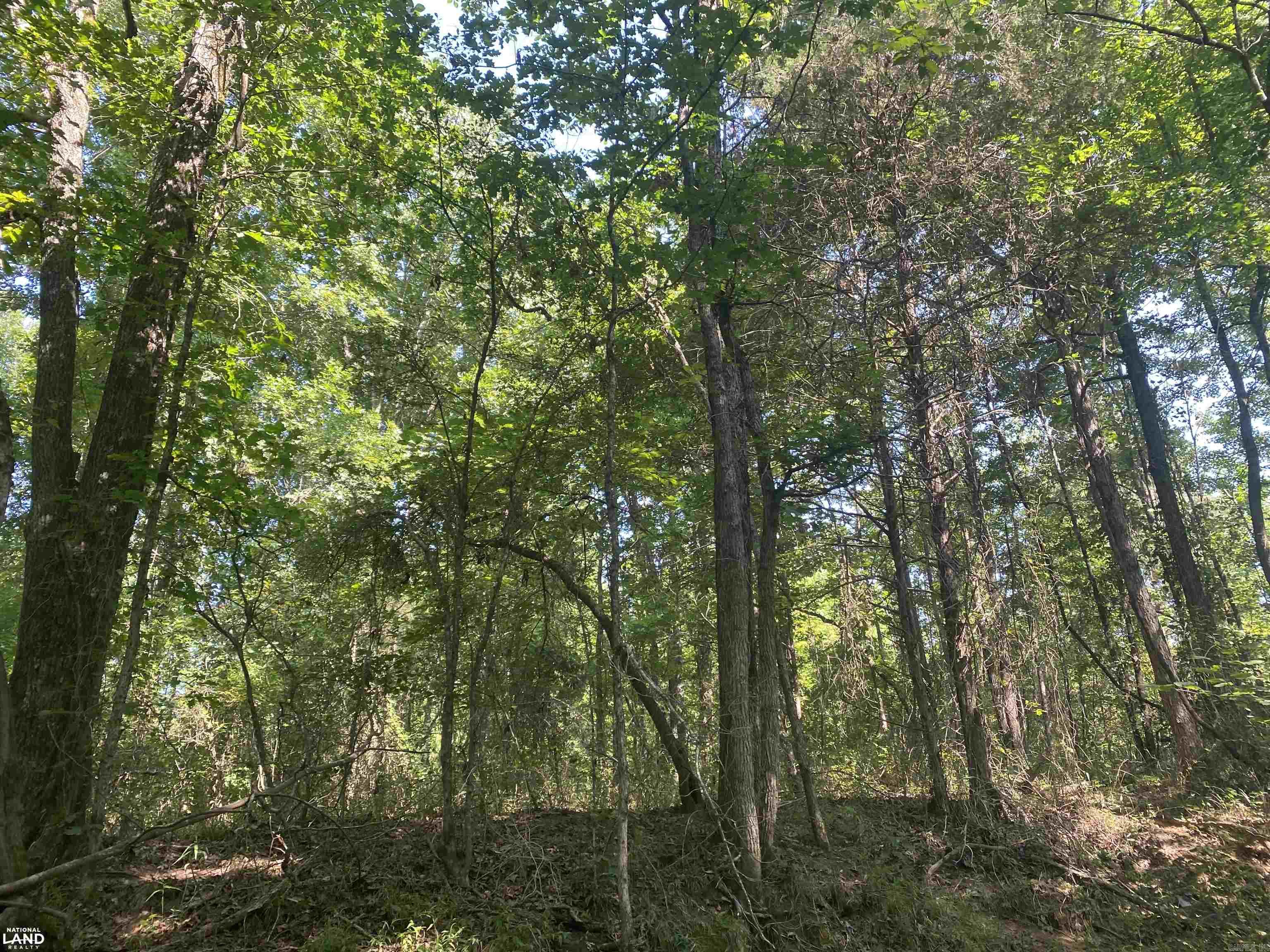 Not in Subdivision - Land