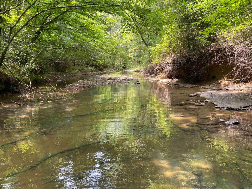 This 43 acre parcel in Van Buren County offers a blend of natural beauty. It’s ideal for those seeking a peaceful country lifestyle or a small hunting retreat.  Located just 1/4 mile north of Highway 356, the property is conveniently close to Bee Branch and Greers Ferry Lake, providing access to local amenities and recreational activities.  The land features a mix of small hardwoods and cedar, with some scattered pine trees.  Linn Creek runs year-round along the eastern border, providing a reliable water source and attracting local wildlife. The creek adds to the property’s appeal and functionality for both recreational and practical uses.  The property is abundant with whitetail deer and turkeys, making it a promising location for hunting. There are also opportunities for wildlife enhancement through habitat development.  Access is via Long Lane along the western border.  Utilities are available at the road offering the possibility to create a comfortable country living homesite.  This property is Co-Listed with National Land Realty. Agents, see remarks.