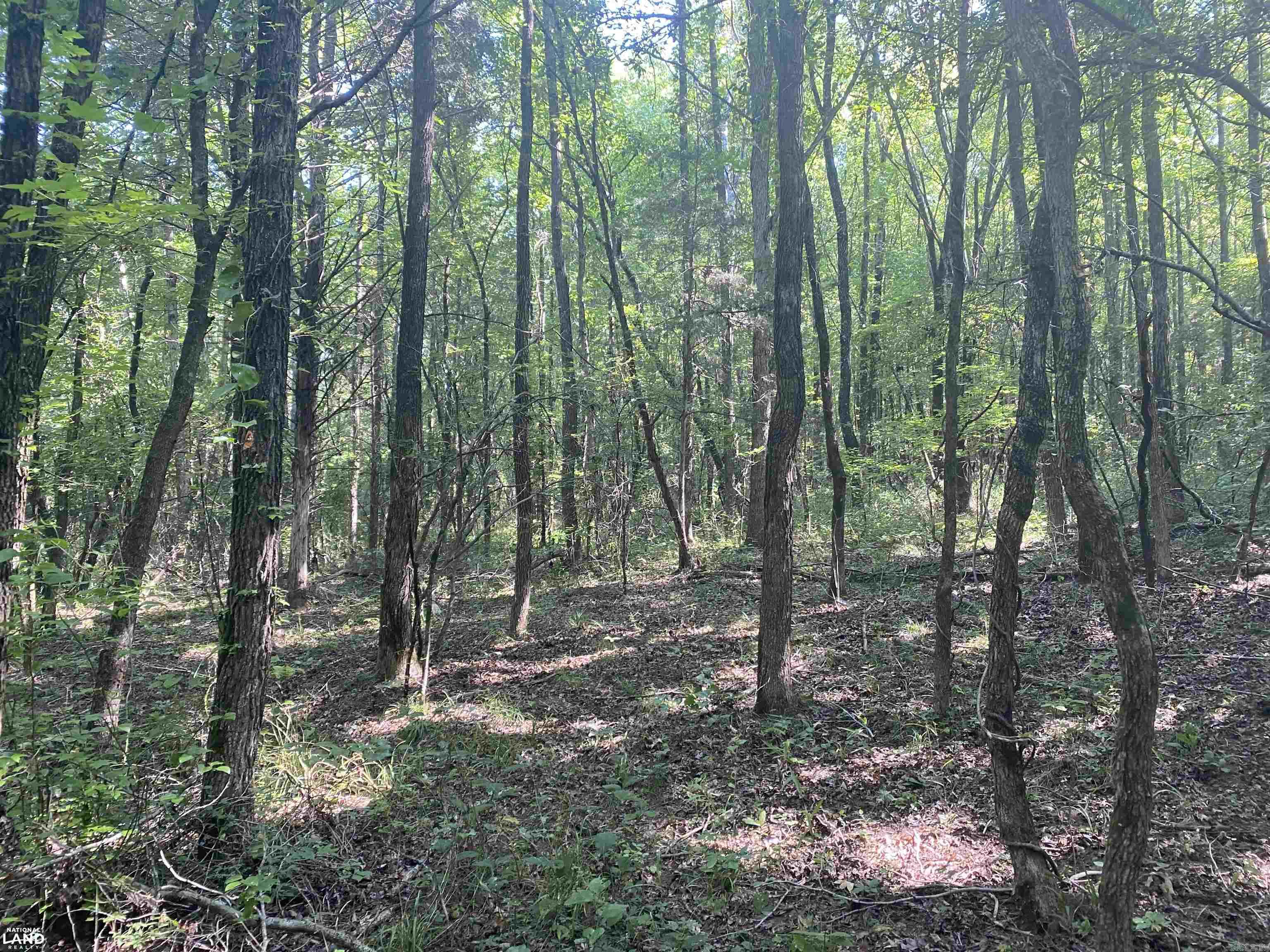 Not in Subdivision - Land