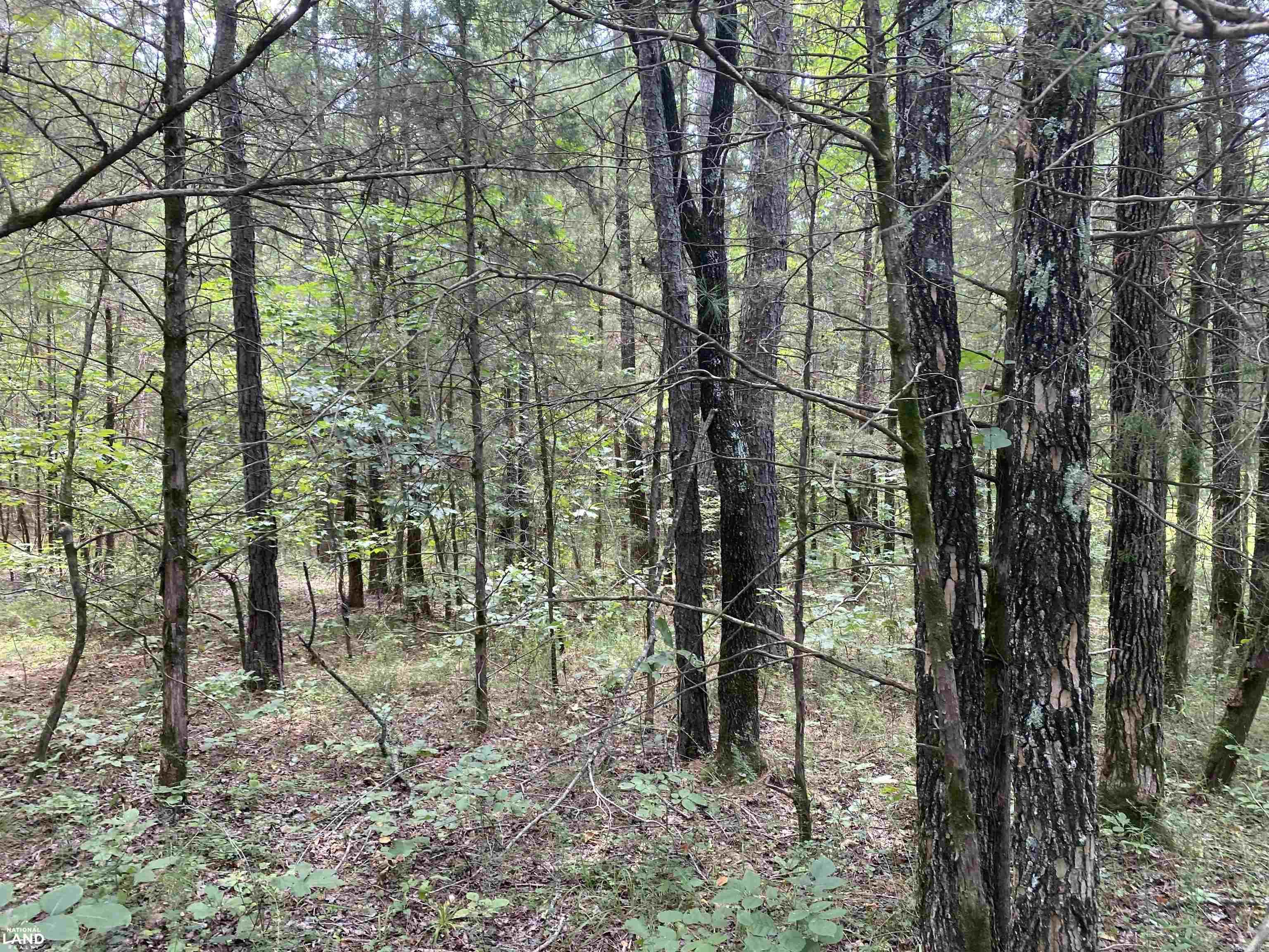 Not in Subdivision - Land