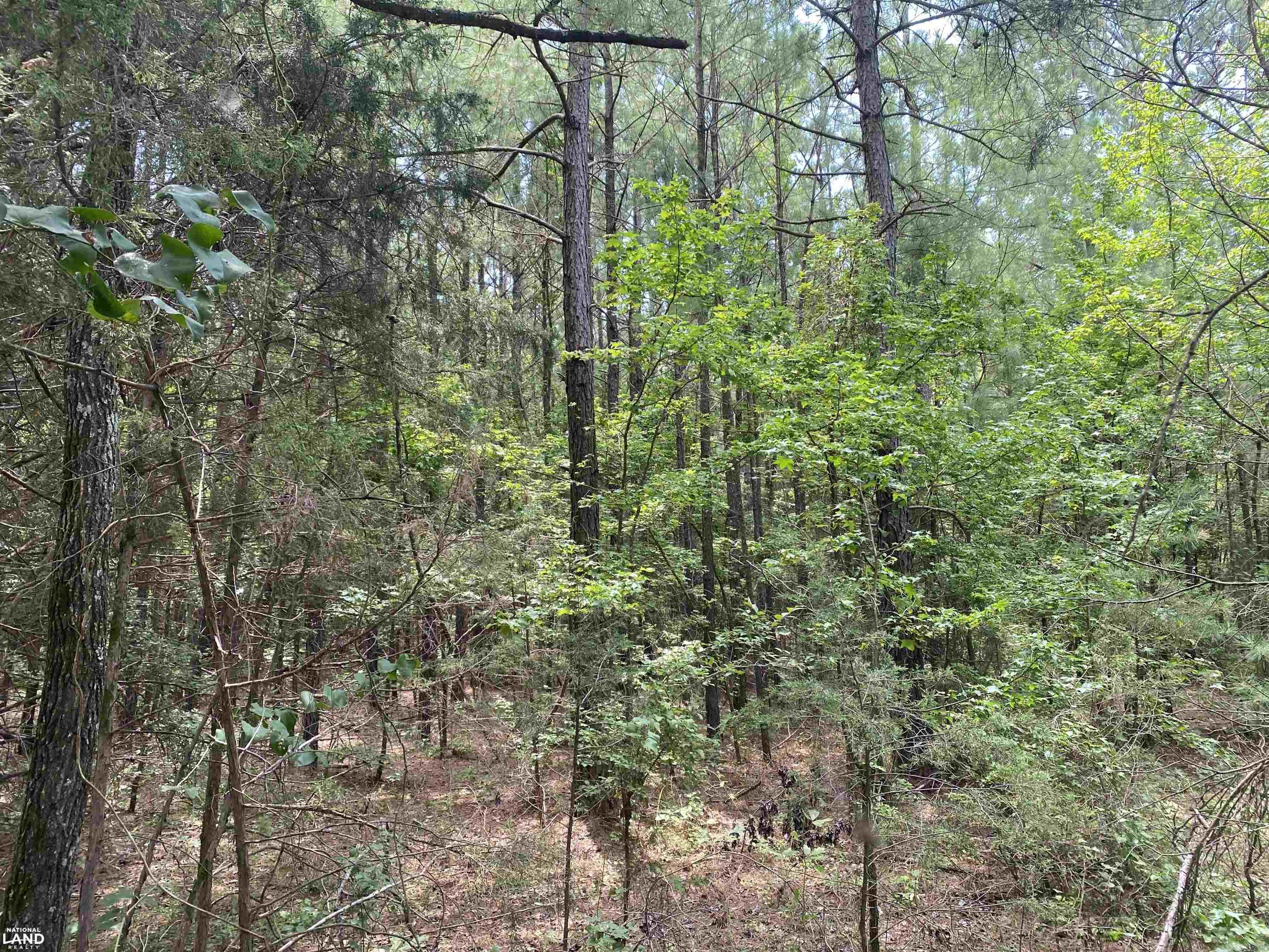 Not in Subdivision - Land