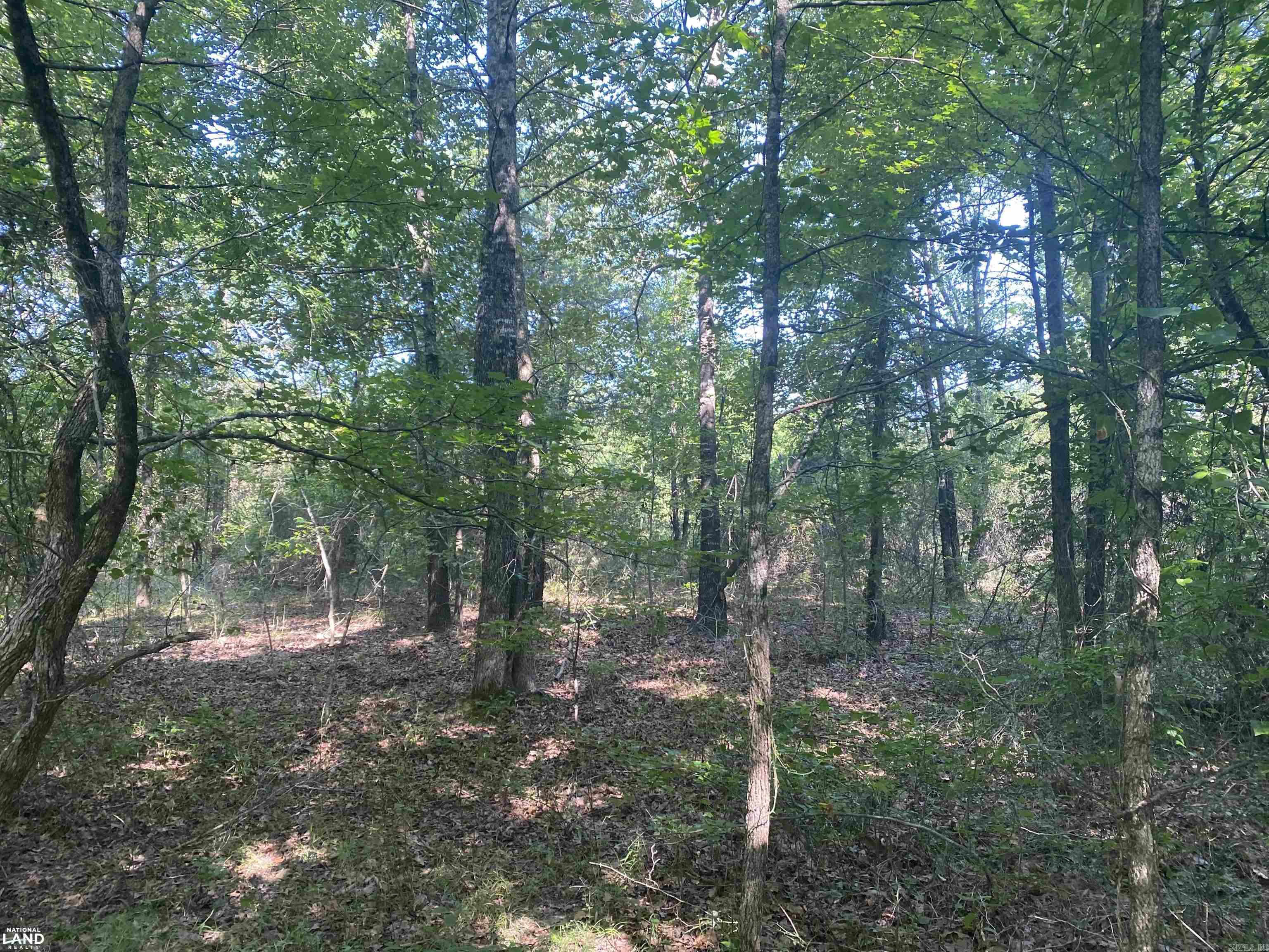 Not in Subdivision - Land