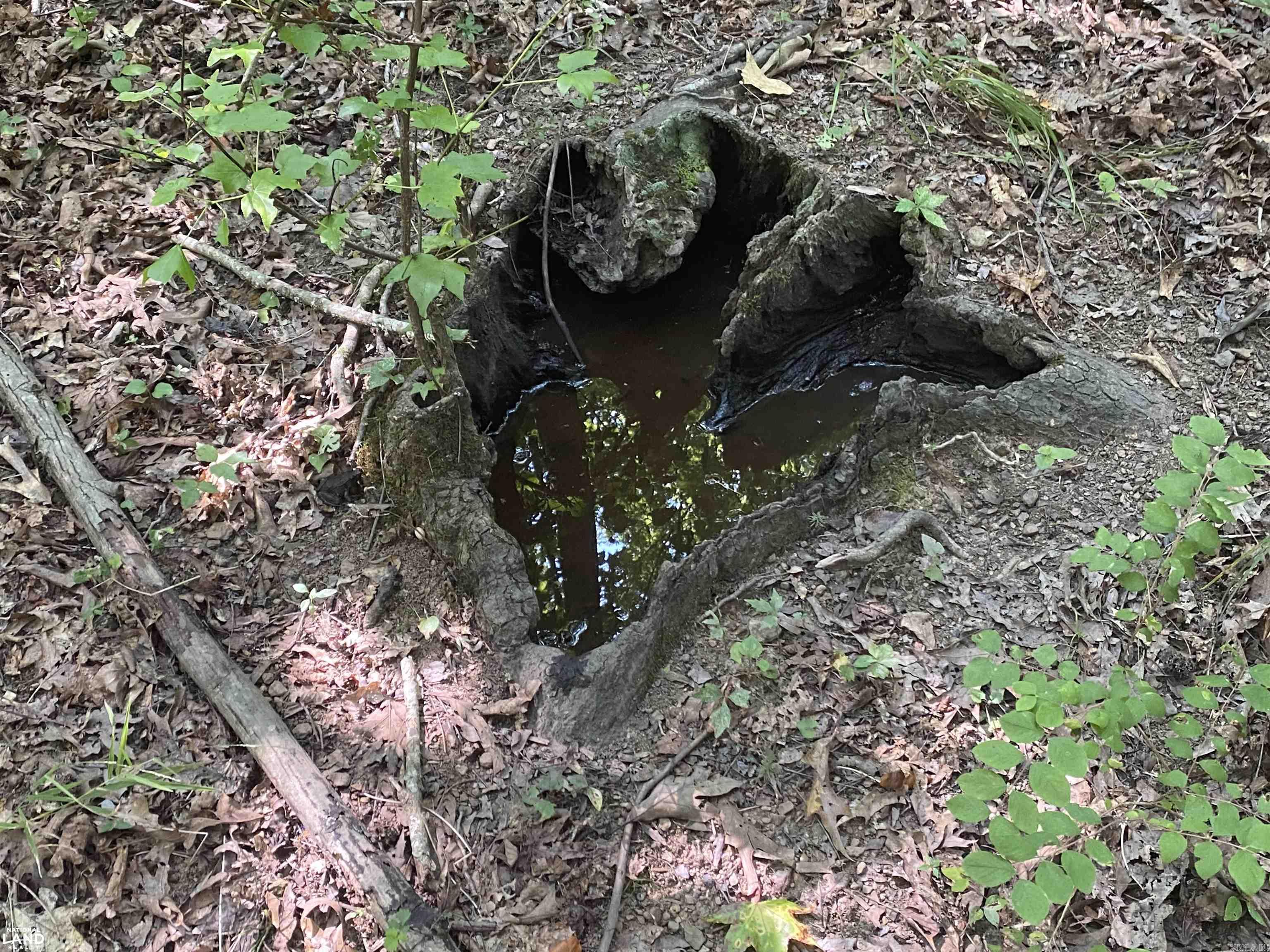 Not in Subdivision - Land