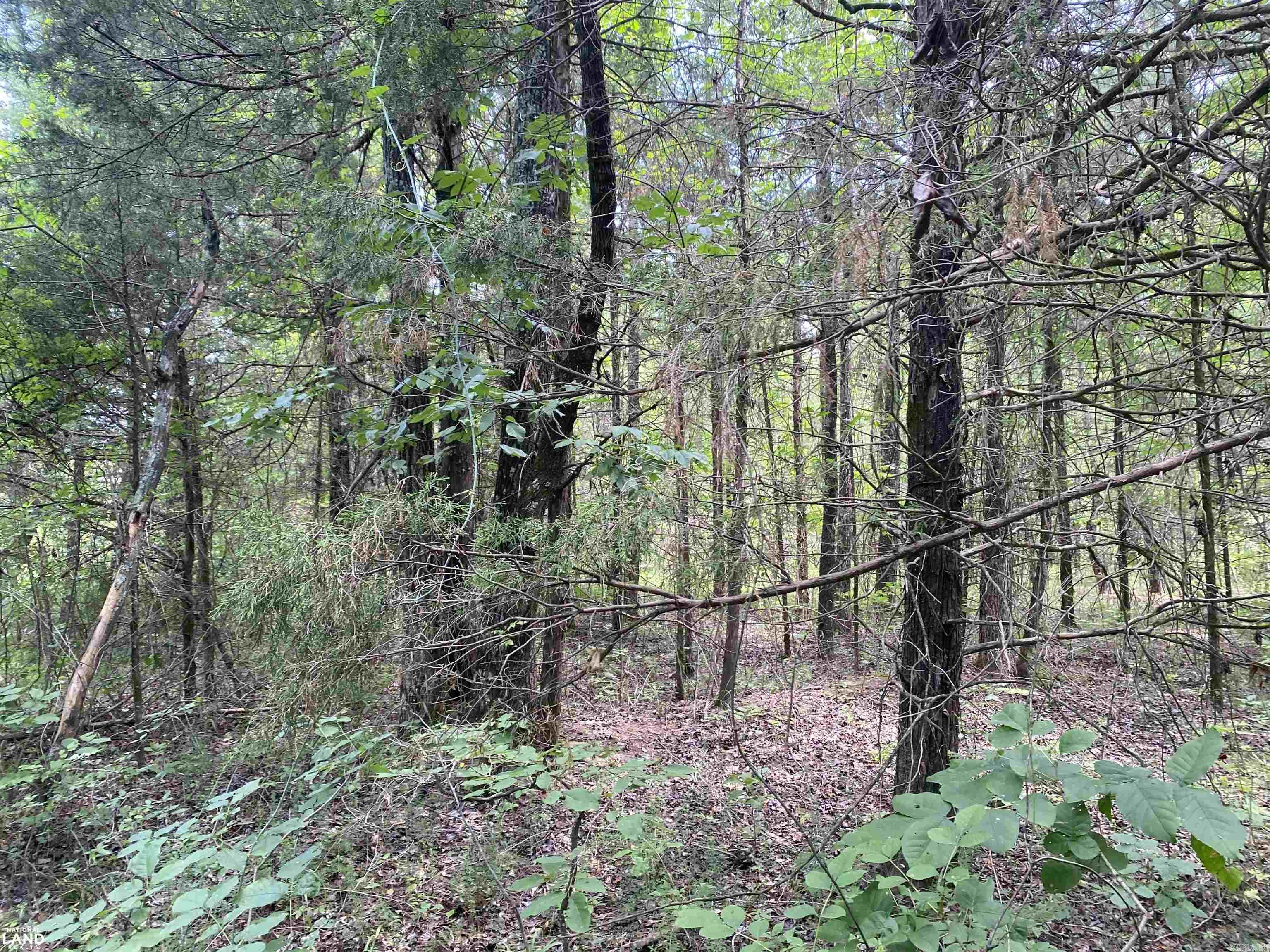 Not in Subdivision - Land