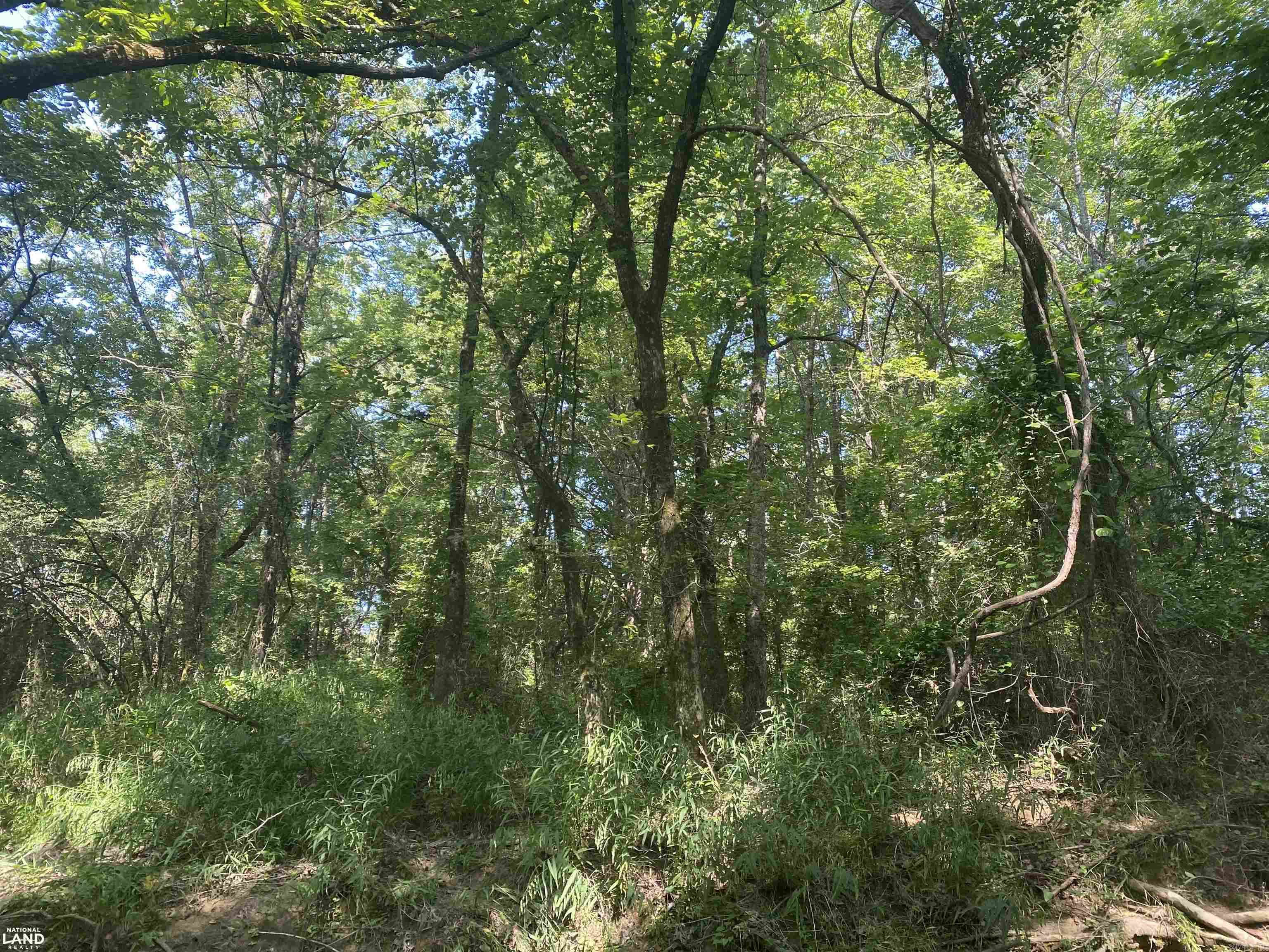 Not in Subdivision - Land