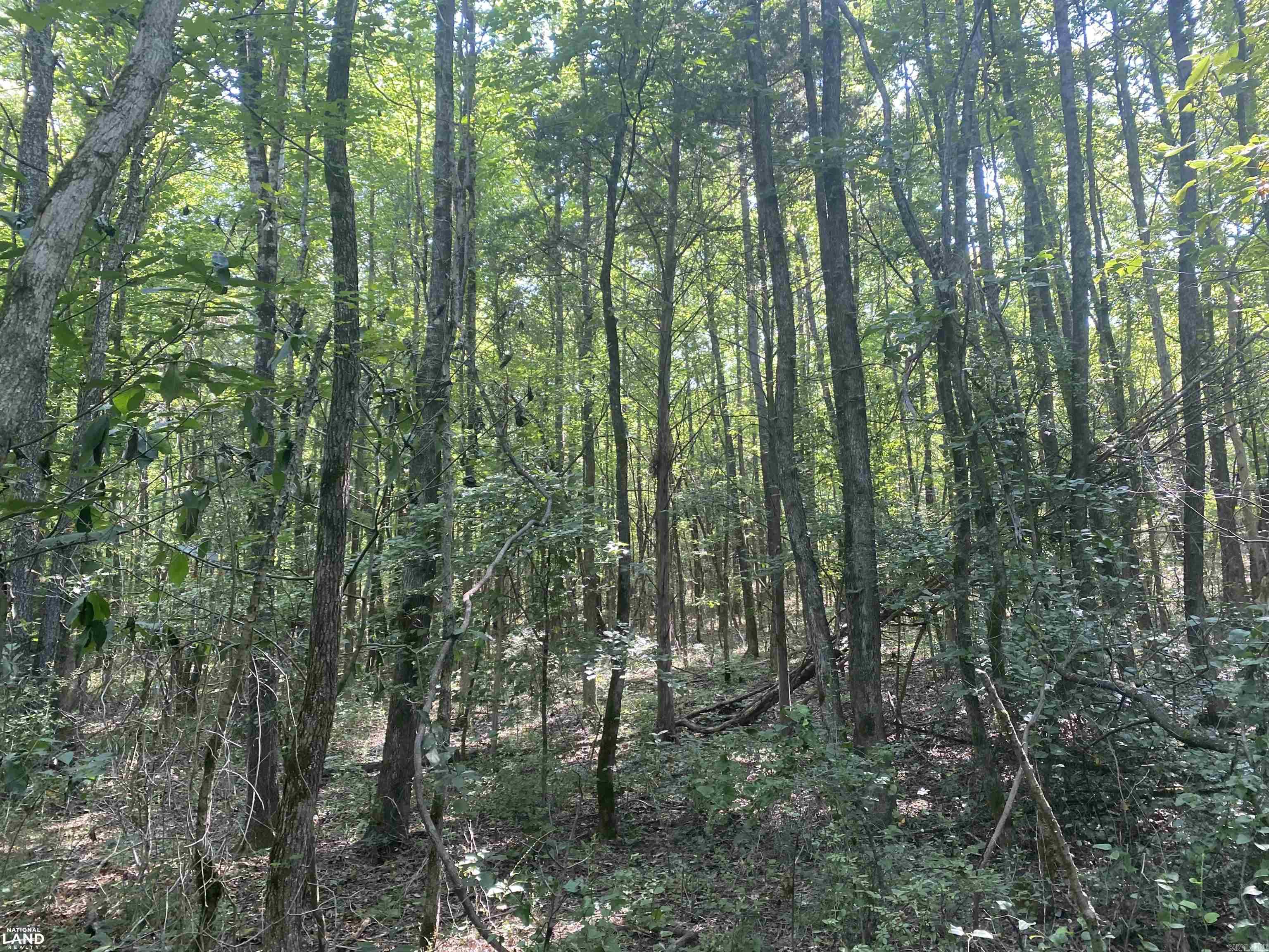 Not in Subdivision - Land