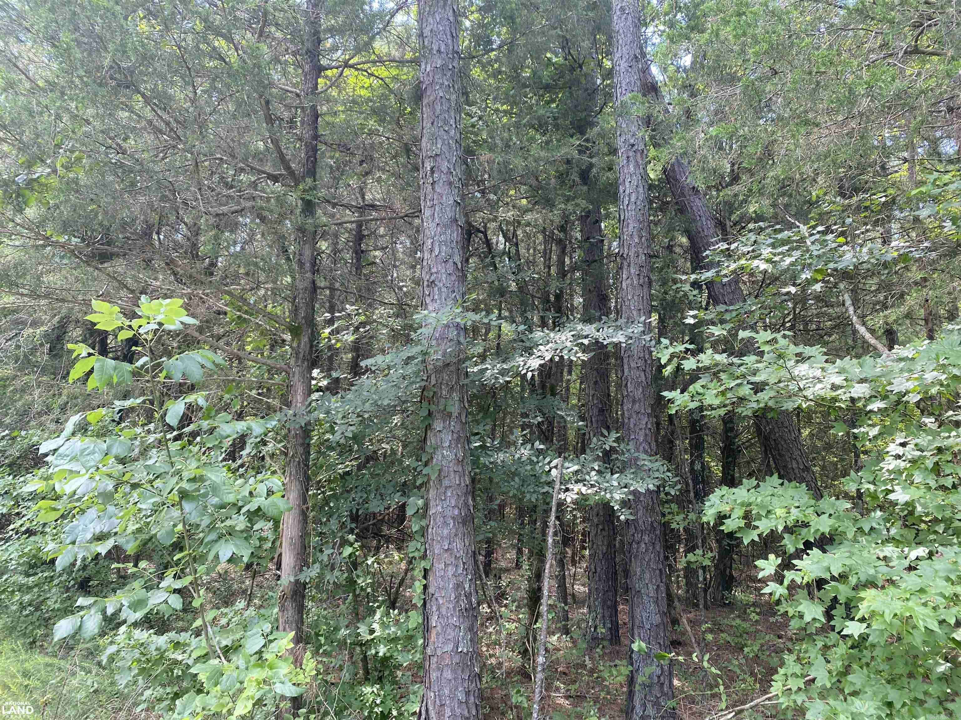 Not in Subdivision - Land