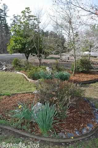 BALBOA - Residential