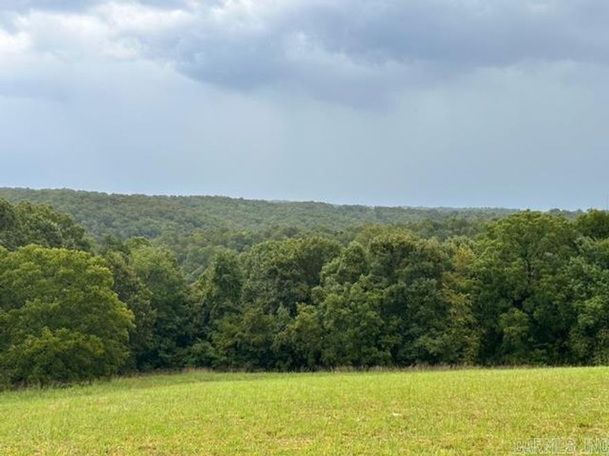 Secluded 80+/- acres with breath taking views and room for the explorer in you.  Land is rolling hills with some cleared fields and an ample amount of wooded acreage for wildlife.  Located on the property is an old block constructed dairy barn that would be perfect for a conversion to a weekend cabin or getaway retreat.  Electric is on property, but no service to structure.  Rural water is also in the area.  If you are looking for a property that gives you room to roam and that is close to numerous Buffalo River accesses, then this is the property for you!