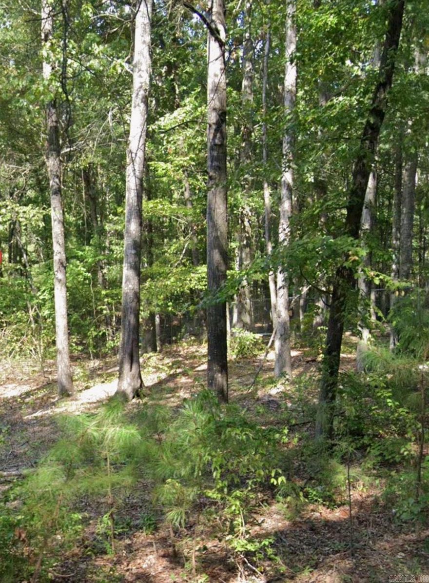 Build a new home or place a small, manufactured home on this .14 (+/-) acre lot in Pine Bluff. It is only minutes from local amenities and just a short drive to Lake Saracen and the resort. Call or text for more information.
