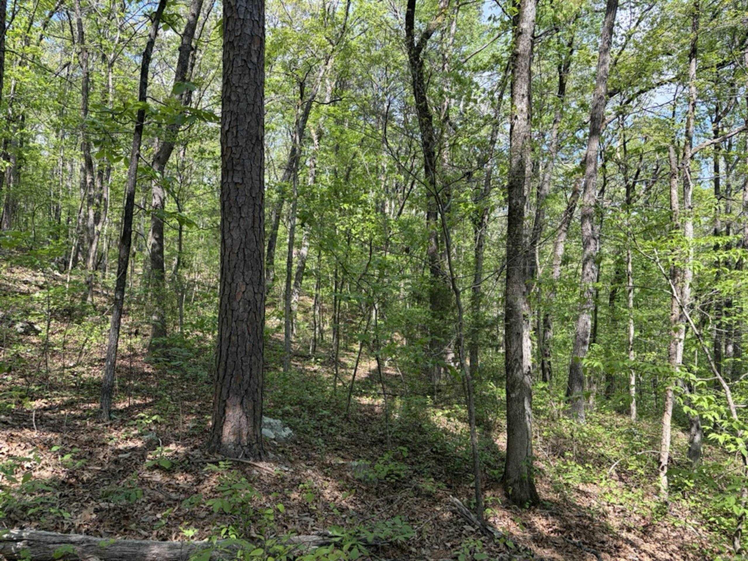 Not in Subdivision - Land