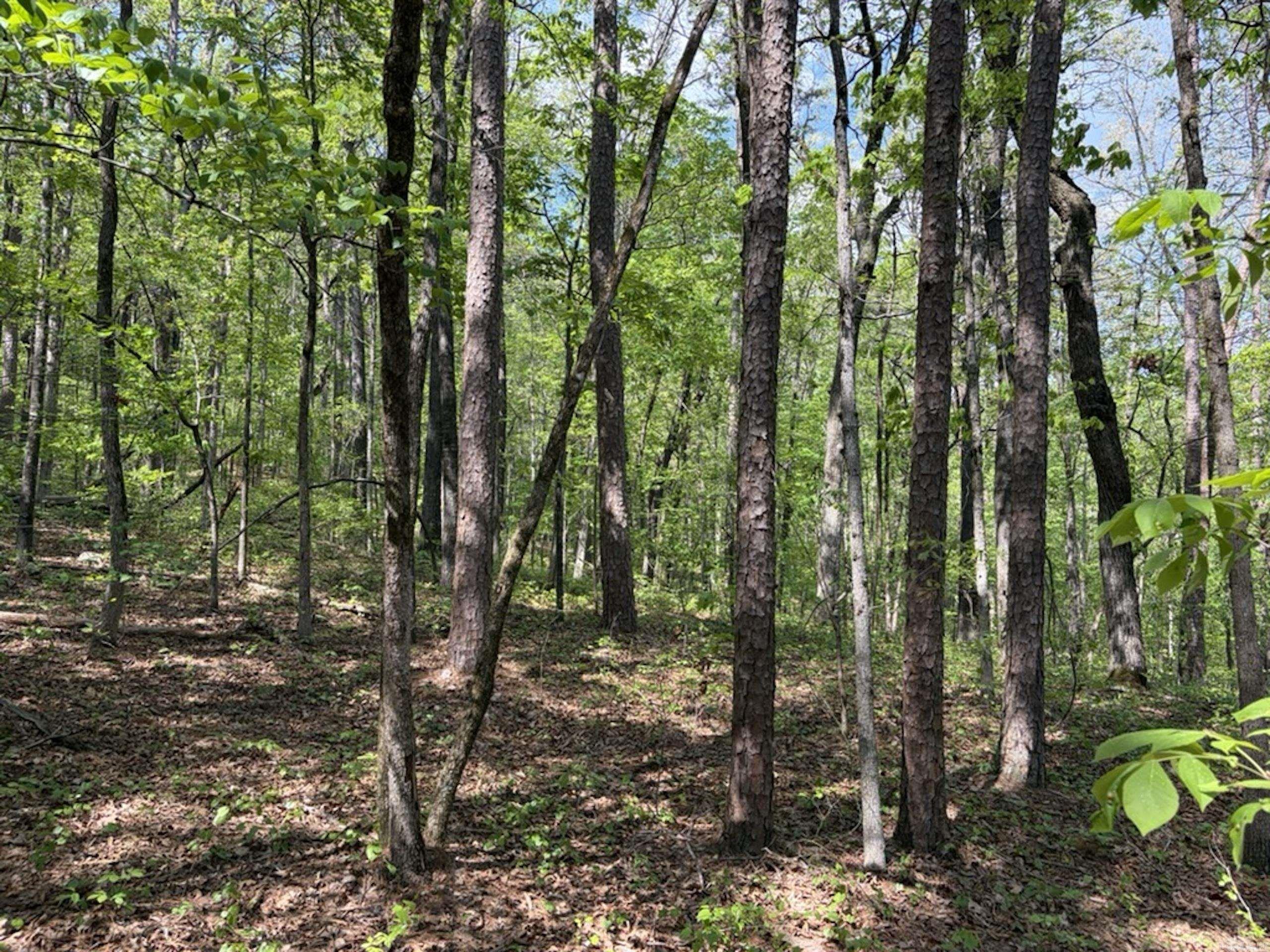 Not in Subdivision - Land