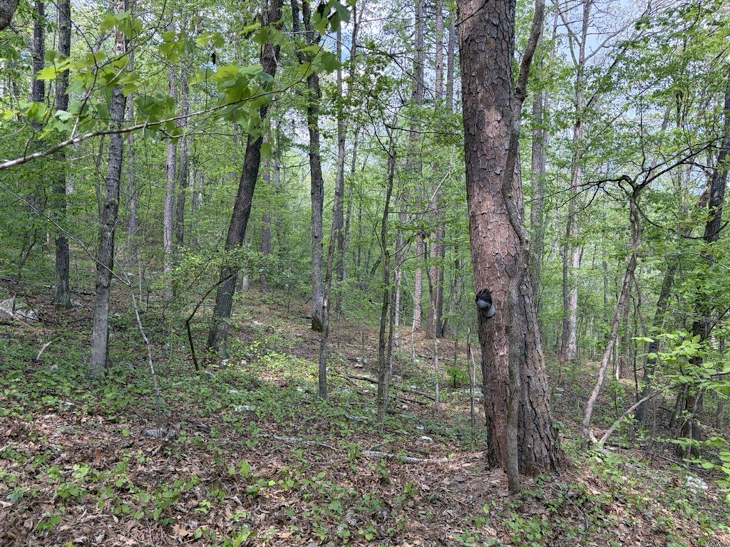 Not in Subdivision - Land