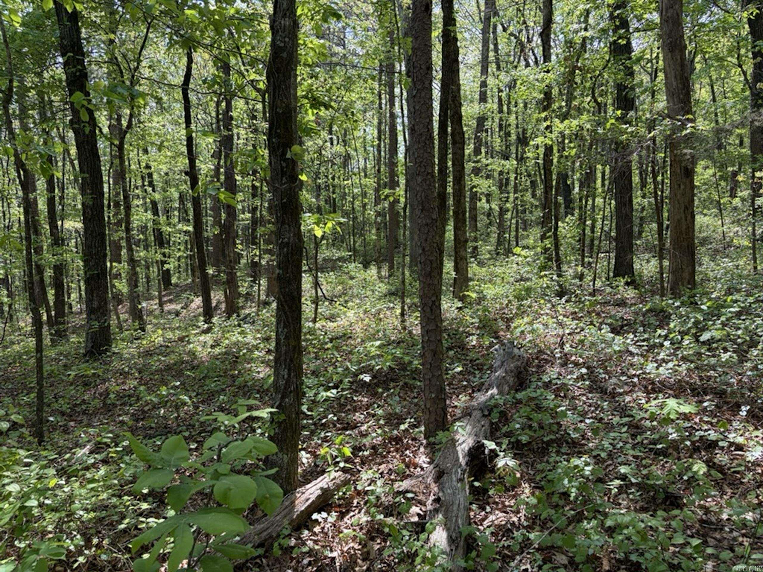 Not in Subdivision - Land