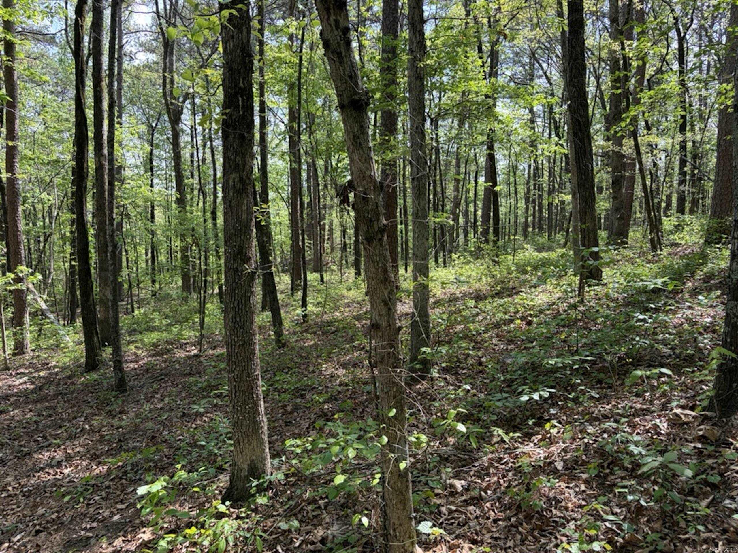 Not in Subdivision - Land