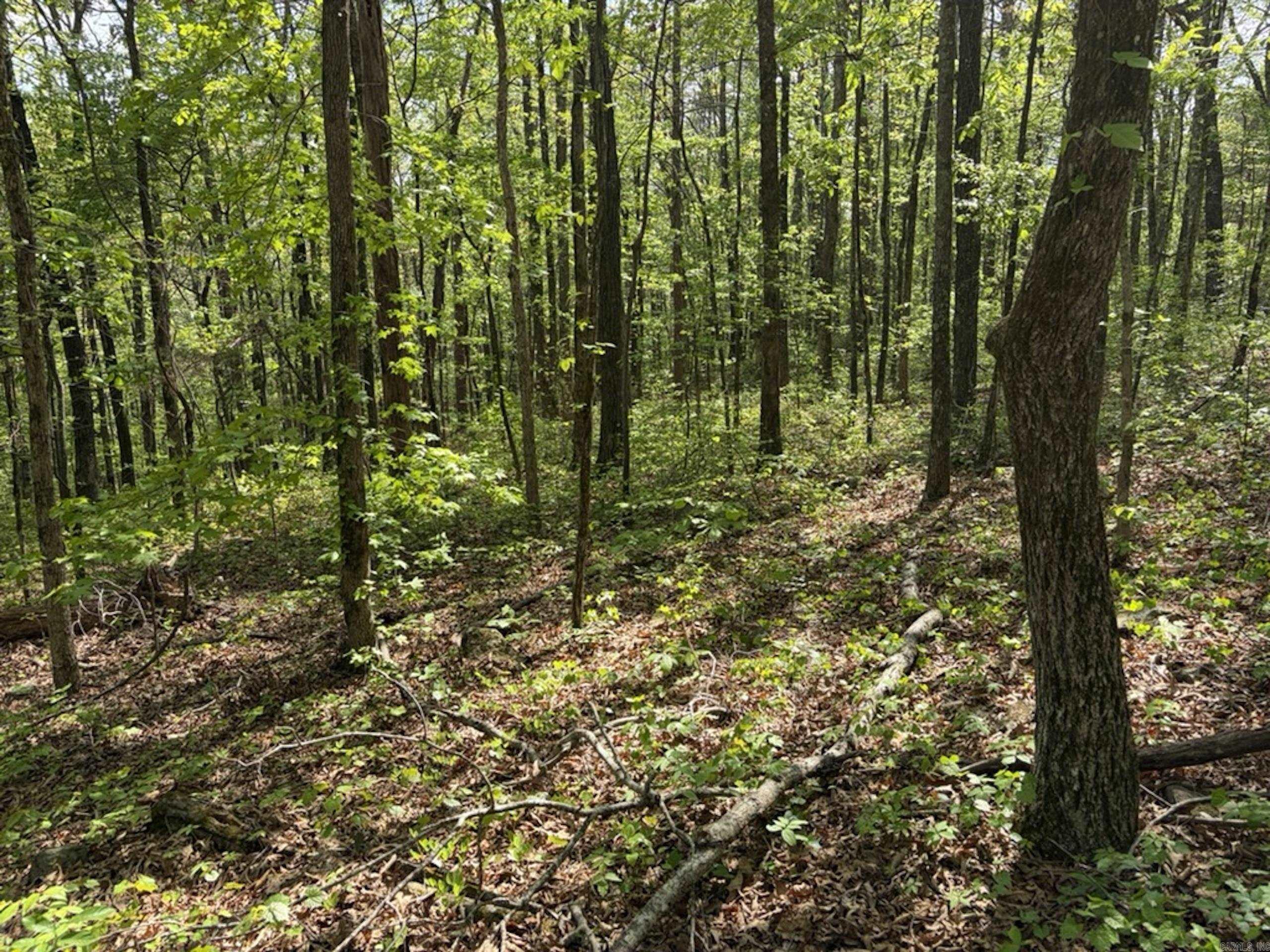 Not in Subdivision - Land