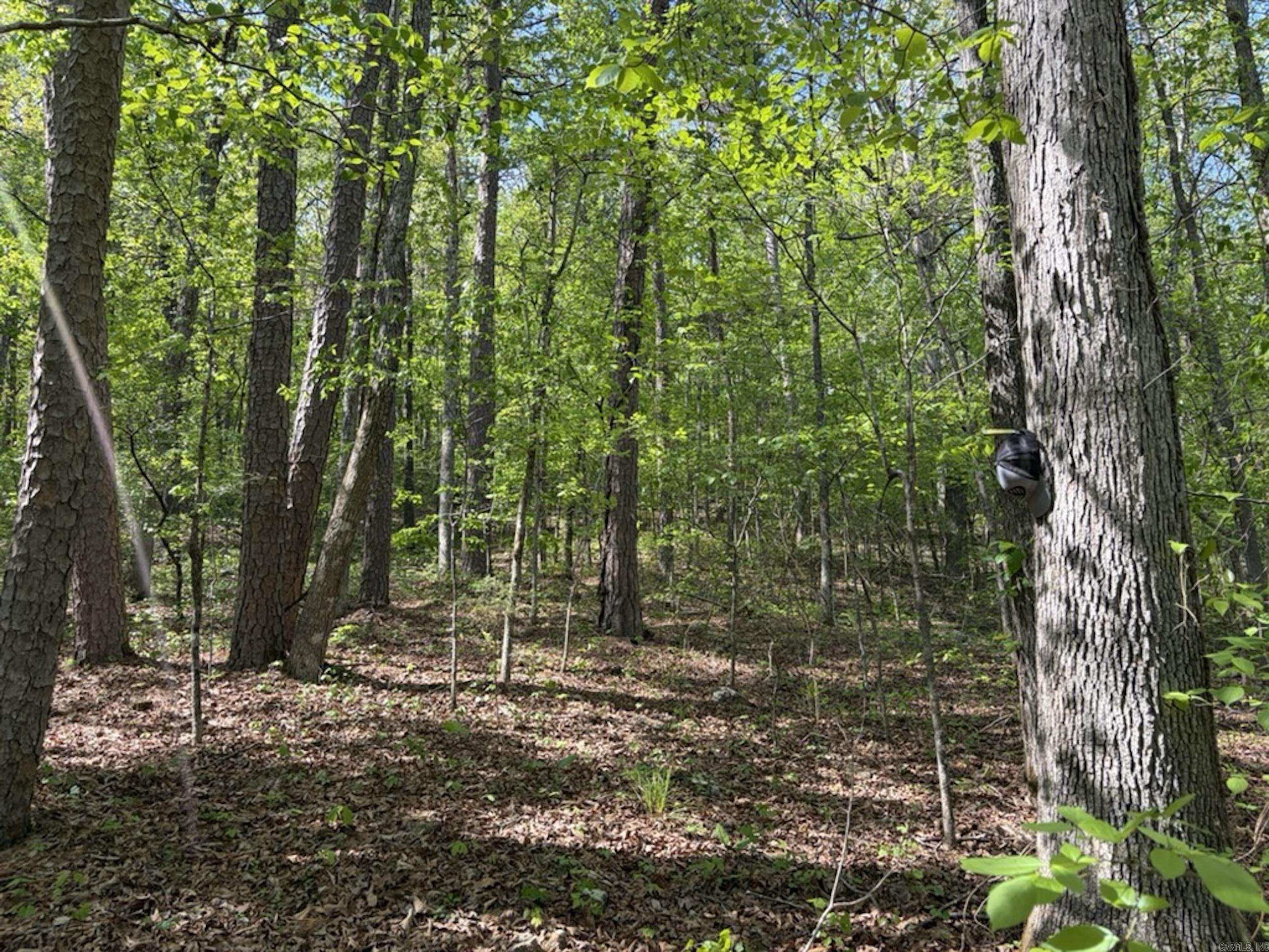 Not in Subdivision - Land