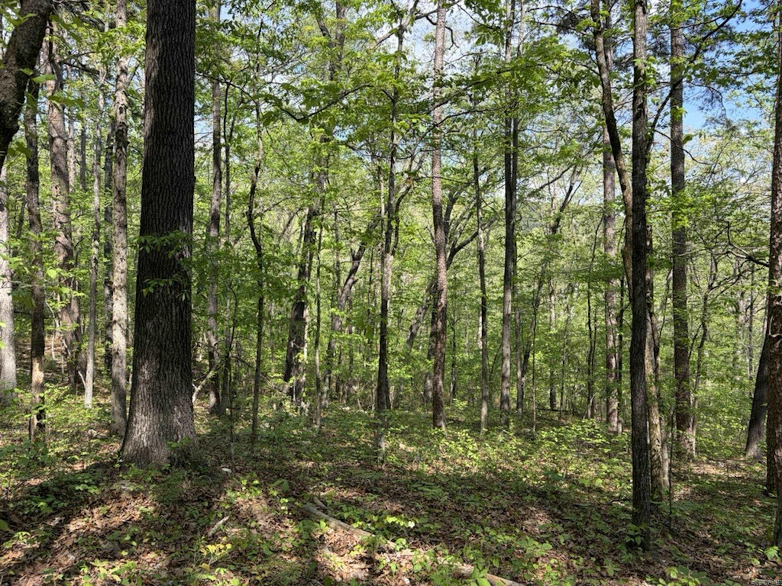 Not in Subdivision - Land