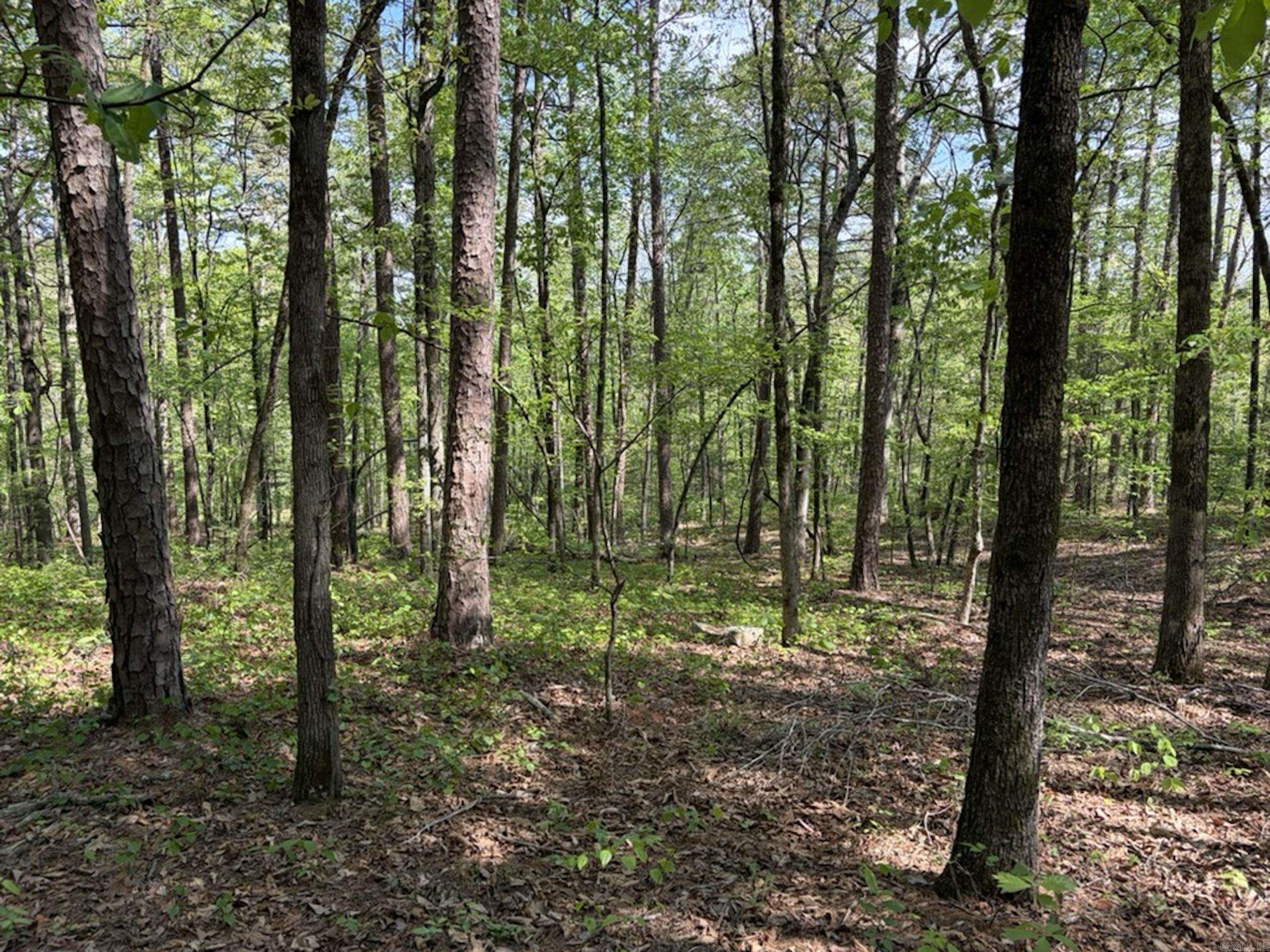 Not in Subdivision - Land