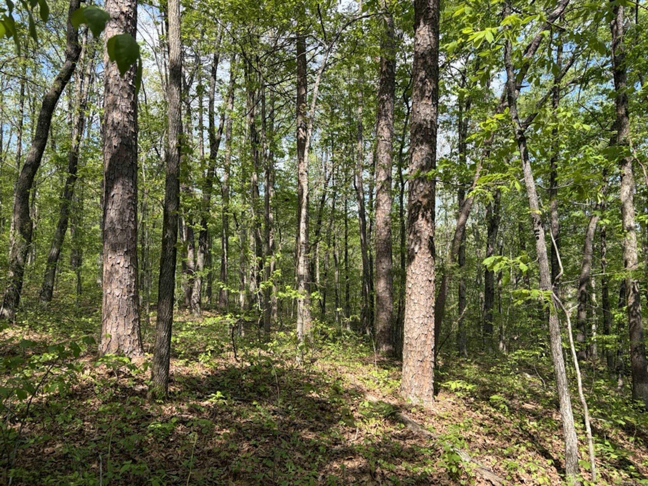 Not in Subdivision - Land