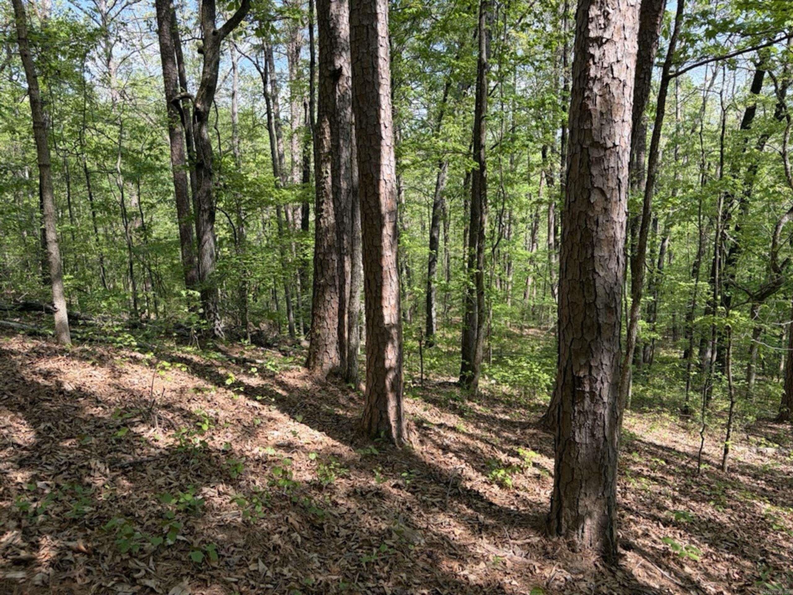 Not in Subdivision - Land