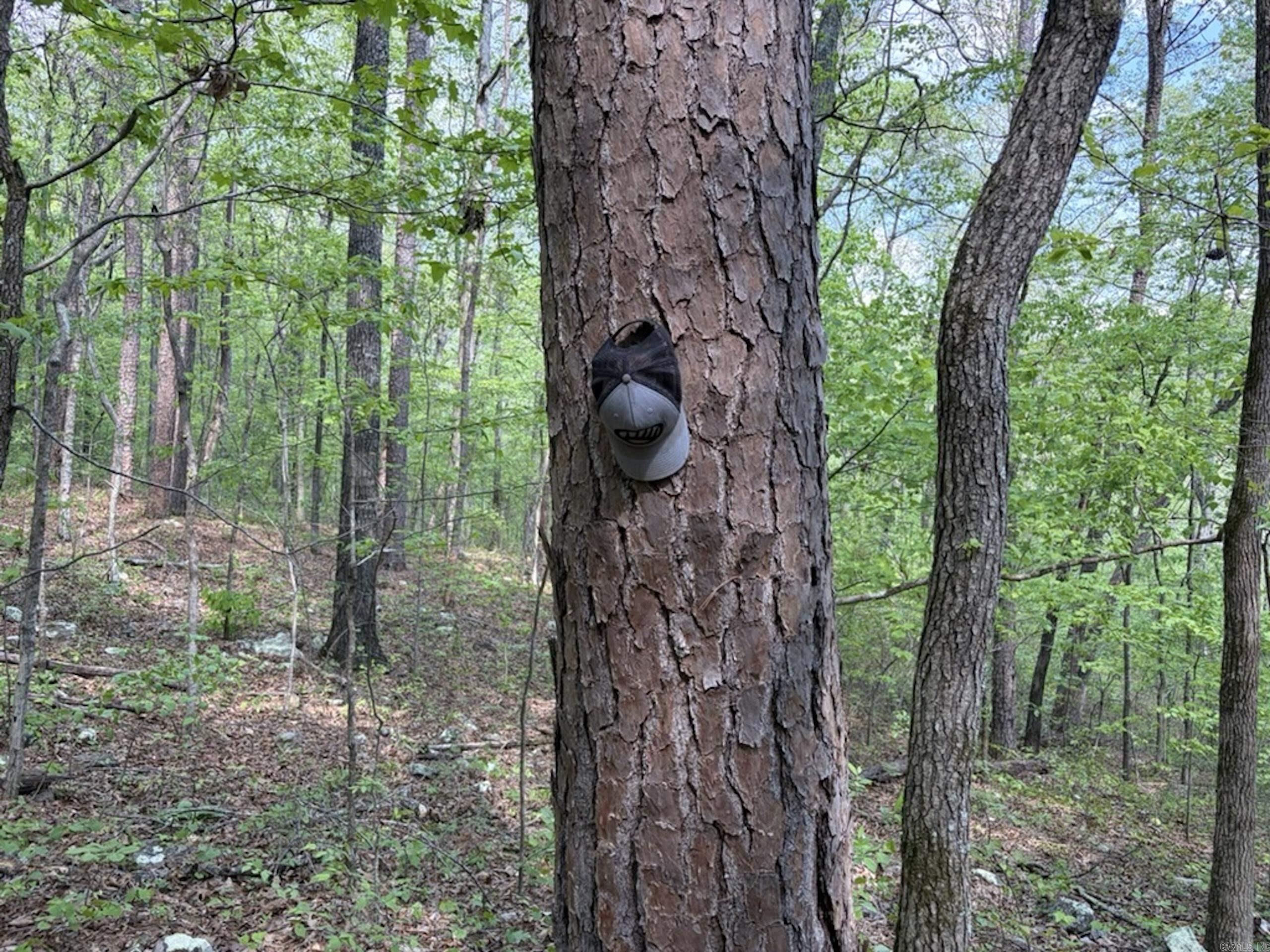 Not in Subdivision - Land