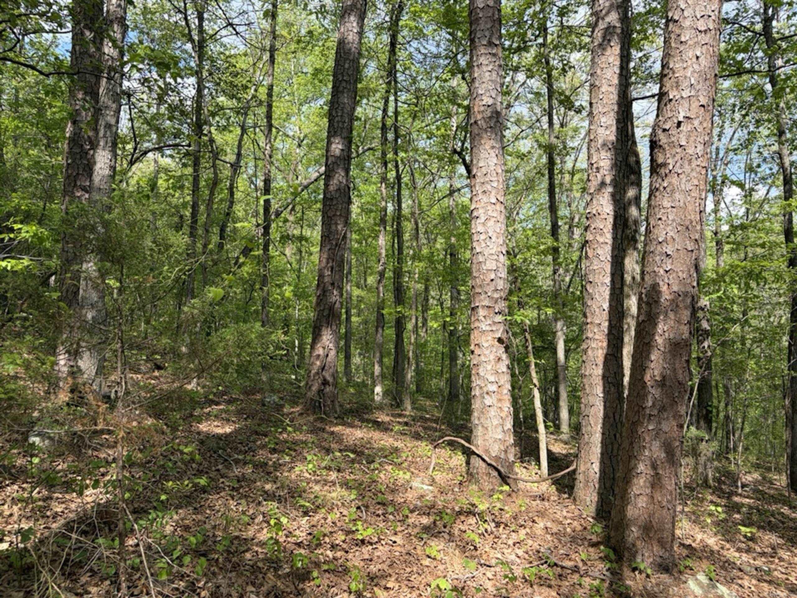 Not in Subdivision - Land