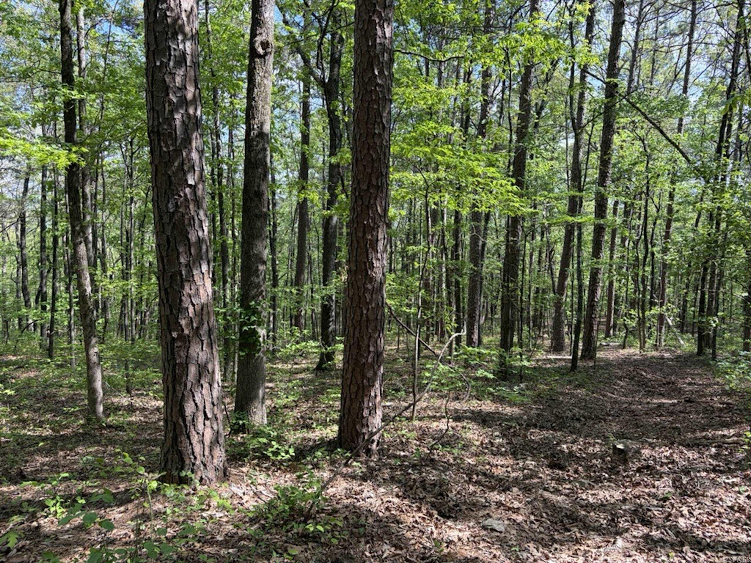 Not in Subdivision - Land