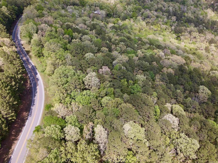 Discover a beautiful piece of Ozark Mountain land on State Highway 9 just outside Shirley, Arkansas, offering an ideal combination of access, scenic views, and build-ready potential. This property is well-suited for a full-time residence, vacation home, or investment.  The land features gently sloping terrain with a park-like setting of mature pine and hardwood timber, providing privacy and natural beauty. Multiple building sites capture stunning views overlooking the Middle Fork of the Little Red River valley.  Utilities including electricity, rural water, and high-speed internet are available along the road, allowing for convenient and cost-effective development. The property is located just minutes from river access, known for its beauty and excellent trout fishing.  A short drive to Greers Ferry Lake provides access to premier boating, fishing, and water recreation. The area is highly desirable for its clear water and outdoor lifestyle.  The property also supports abundant deer and wildlife, adding recreational appeal. With highway frontage, utilities, scenic views, and proximity to the river and lake, this is a rare opportunity to own quality Arkansas land in a sought-after lo