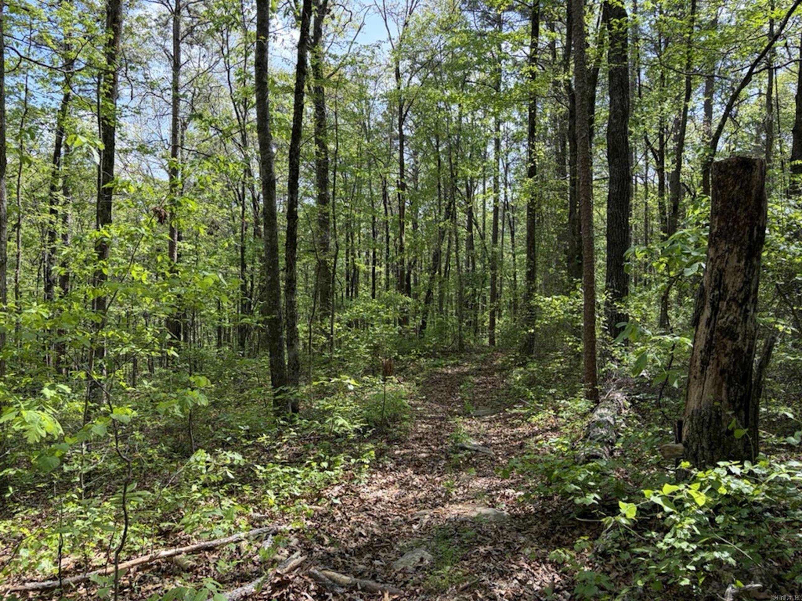 Not in Subdivision - Land