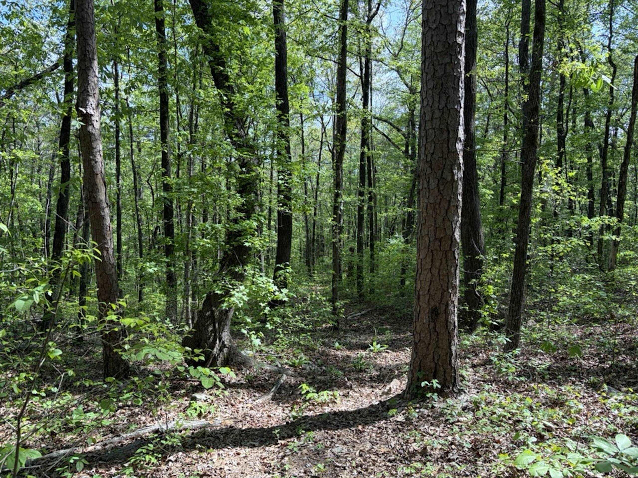 Not in Subdivision - Land