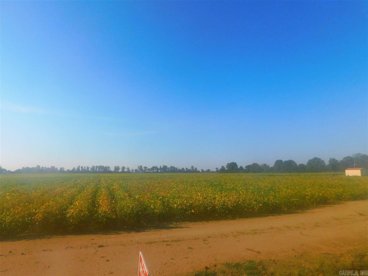 Metes & Bounds - Farm